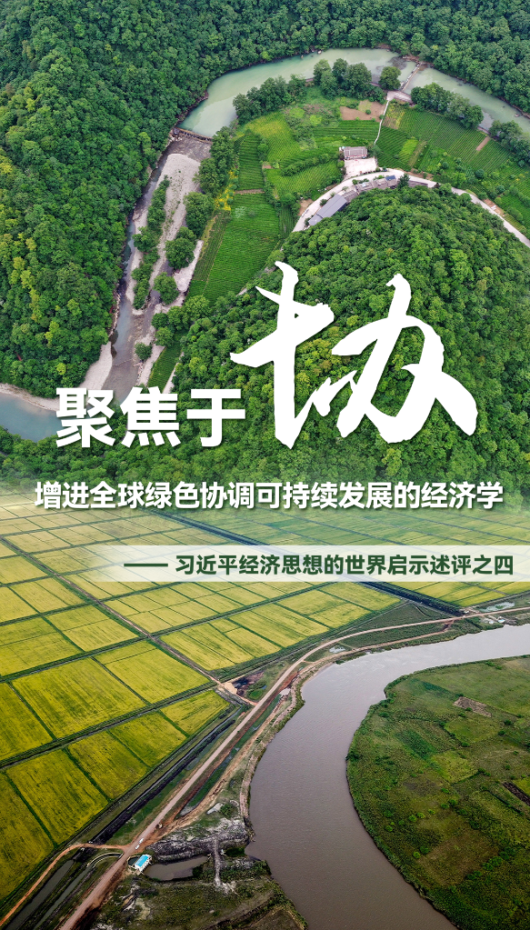 聚焦于“協”，增進全球綠色協調可持續發展的經濟學