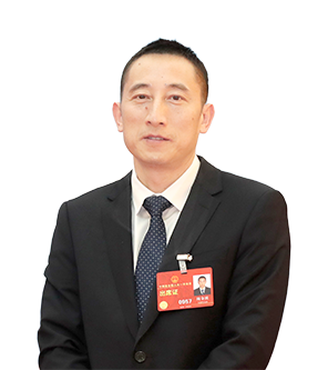 推廣新型室內裝飾綠色材料 提高裝飾材料環保標準
