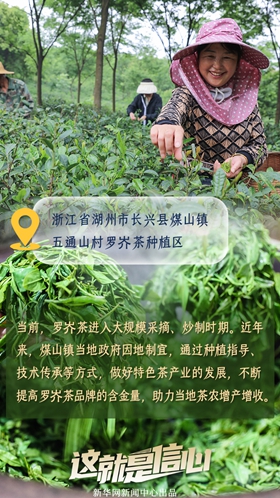 這就是信心丨應季收獲忙！看田間地頭上的增收新路子