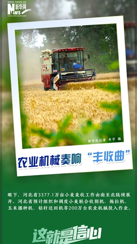 這就是信心｜好一派豐收景象！