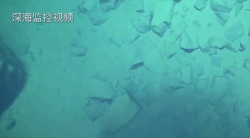8919米！我國科學家首次探底雅浦海溝 成功采集深淵樣本