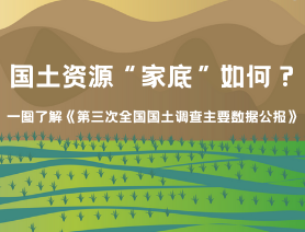 一圖了解《第三次全國國土調查主要數據公報》