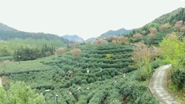 萬象“耕”新！碼住人間四月天